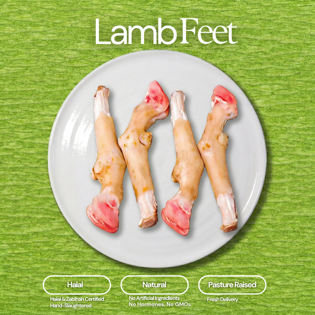 Lamb Feet